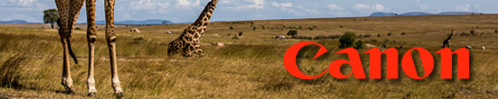 So what animal do you most want to photograph on Safari? 