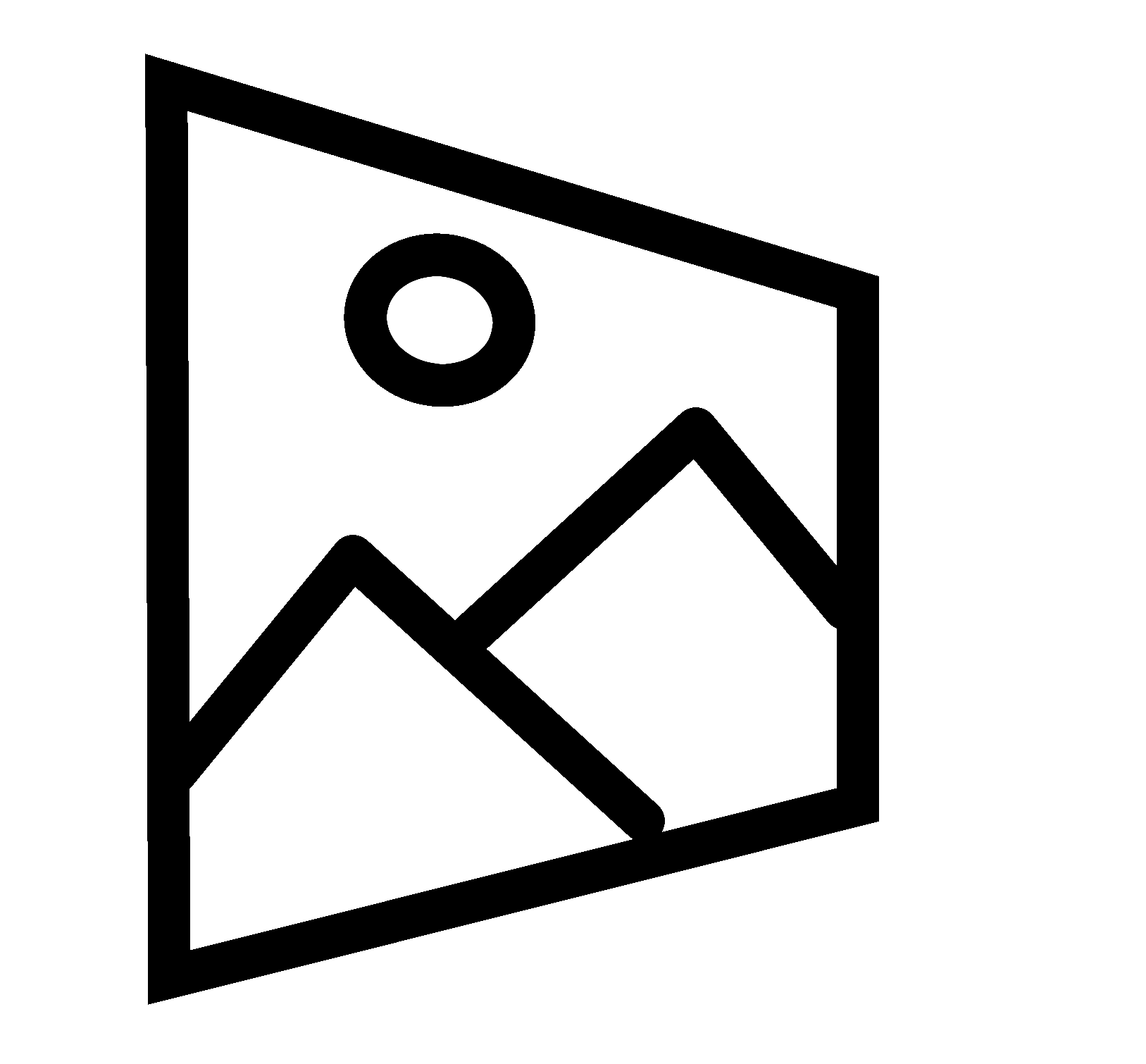 scan