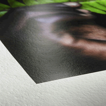 photoRag